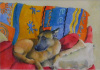 Juan's Dog, original watercolor, by Charlie Burton